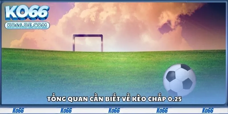 Kèo Chấp 0.25 Là Gì? Hướng Dẫn Siêu Dễ Hiểu Từ Ko66 2 Tổng quan cần biết về kèo chấp 0.25