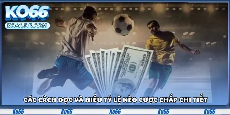 Kèo Chấp Là Gì? Ko66 Giúp Bạn Hiểu Chuẩn Từng Loại Kèo 3 Các cách đọc và hiểu tỷ lệ kèo cược chấp chi tiết
